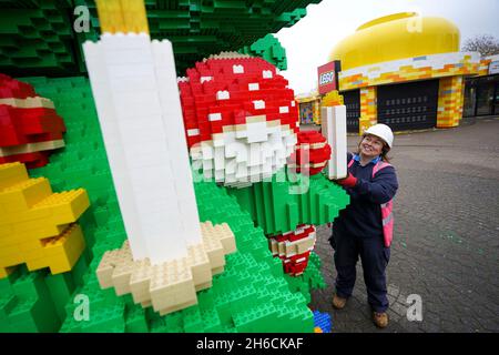 Chief Model Maker Paula Laughton puts the finishing touches to a 33-foot tall LEGO Christmas tree, made with 364,481 DUPLO and LEGO bricks, at the LEGOLAND Windsor Resort in Berkshire. Picture date: Wednesday November 10, 2021. Stock Photo