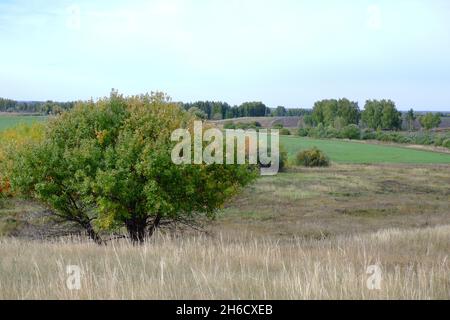 Rustic autumn landscape. Grass meadow in the countryside. Stock Photo