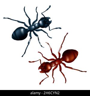 Vector set of black and red ants close up. 3D realistic illustration of domestic insects isolated on a white background Stock Vector