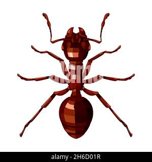 Red ant top view. 3D vector illustration of a domestic insect isolated on a white background Stock Vector