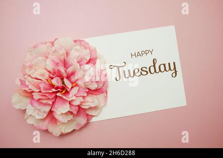 Happy Tuesday typography text with flower decor on pink background Stock Photo