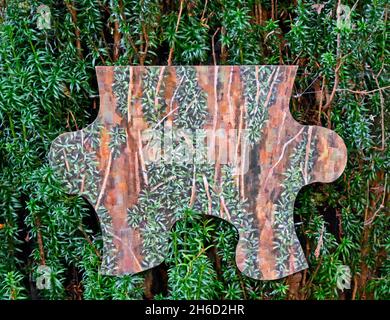Puzzle Piece 3 by Anne Gilchrist. Irish Yew (Taxus baccata 'Fastigiata'). Dawyck Botanic Gardens, Stobo, Scottish Borders, Scotland, United Kingdom. Stock Photo