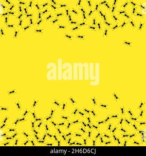 Ant trail background. Ants colony teamwork concept. Insect group isolated. Stock Vector