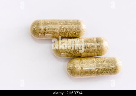 Andrographis paniculata pill capsule in green on white background Alternative medical from the herb for treatment coronavirus or covid19. Drug and med Stock Photo