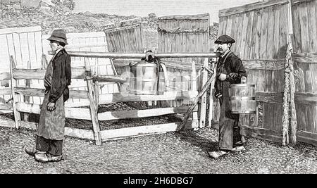 The dairy industry in France, manufacture of Cantal artisan cheese. France, Europe. Old 19th century engraved illustration from La Nature 1897 Stock Photo