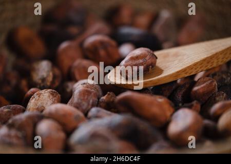 Close-up of organic cacao beans on wooden table, cocoa nibs. Handmade healthy drink. Peel of raw fermented seeds from South America
