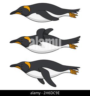 Set of color images of a swimming penguin. Isolated vector objects on white background. Stock Vector