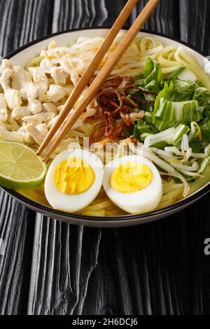 Soto ayam is a traditional Indonesian dish which uses ingredients such as chicken, egg, noodles, fried onion and spices close up in the plate on the t Stock Photo