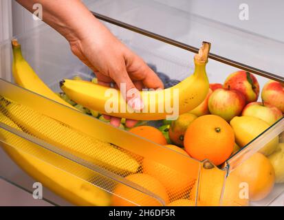 Woman taking banana from fridge drawer full of fruits. Close up. Stock Photo