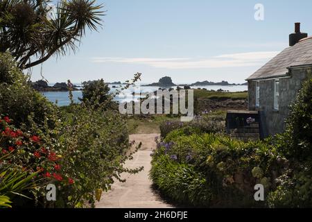 Granite cottage and agapanthus plants on Great Par beach on Bryher, Isles of Scilly Stock Photo