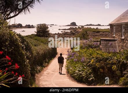 Granite cottage and agapanthus plants on Great Par beach on Bryher, Isles of Scilly Stock Photo