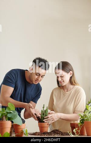 Handsome young man helping girlfriend with repotting flowers in new ceramic pots Stock Photo