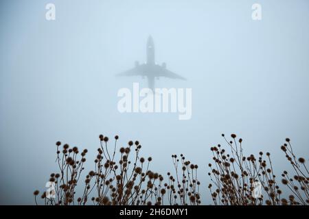 Airplane approaching for landing during gloomy autumn day. Silhouette of plane in thick fog and selective focus on plant.