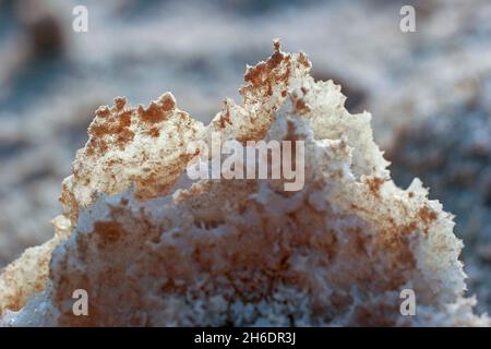Salt formation on the shore of the Dead Sea, Israel Stock Photo