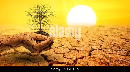 The hand was holding the remains of a dead tree in the extremely barren ground. Stock Photo