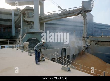 Loadmaster with remote control supervising the loading of grain in the Port of Hamburg. Stock Photo