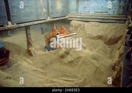 Feed cereals being  unloaded by means of a wheel-mounted front-end loader in the Port of Hamburg. Stock Photo