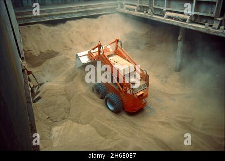 Feed cereals being  unloaded by means of a wheel-mounted front-end loader in the Port of Hamburg. Stock Photo