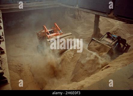 Feed cereals being  unloaded by means of wheel-mounted front-end loaders in the Port of Hamburg. Stock Photo