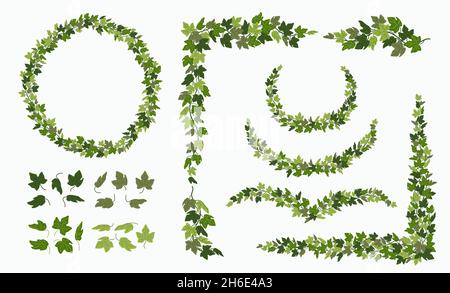 Ivy vector vines and wreaths, and decorative elements made of green leaves, isolated on white background. Vector illustration in flat cartoon style. Stock Vector