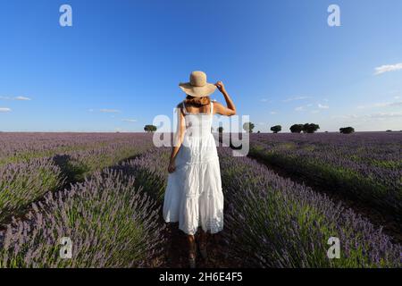 Provence, France Stock Photo 