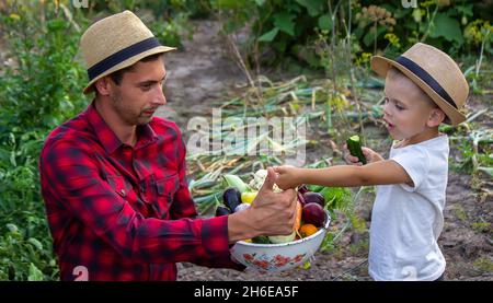 a man holds a bowl of fresh vegetables from the farm in his hands. Nature. Selective focus Stock Photo
