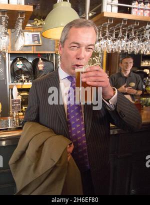 UKIP leader Nigel Farage enjoys a pint in the Marquis of Granby pub in London this afternoon after his party's success in the local elections.  Stock Photo