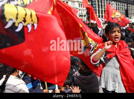 Tamil demonstrators refuse to leave Westminster as they protested against the Sri Lankan government's offensive against Tamil Tiger rebels and alleged human rights abuses. Stock Photo