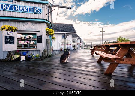 Homer Spit, Alaska, USA - August 07, 2018: Homer Spit shopping area with many gift shops and restaurants. Stock Photo