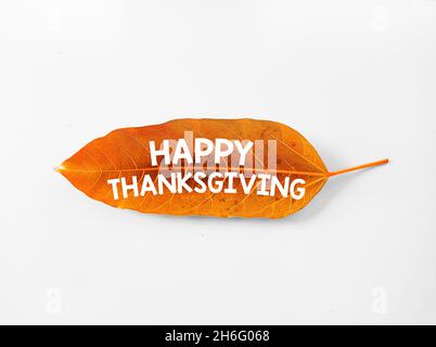 Happy Thanksgiving Greetings Written on a Orange Leaf celebrating holiday. Autumn Fall Leaf and thanksgiving concept backdrop Stock Photo