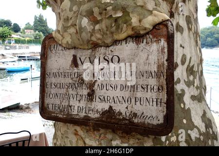 Old Italian sign engulfed in bark on plane tree in Italy Stock Photo