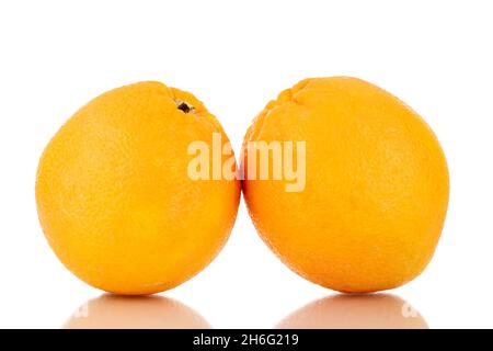 Two organic bright yellow oranges , close-up, isolated on white. Stock Photo