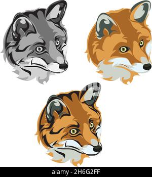 Fox, portrait of foxes in different versions and colors for the trademark logo Stock Vector