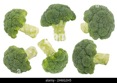 Collection of fresh green broccoli isolated on white background Stock Photo
