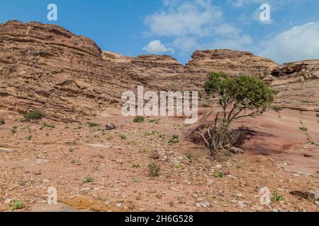 Landscape around the ancient city Petra, Jordan Stock Photo