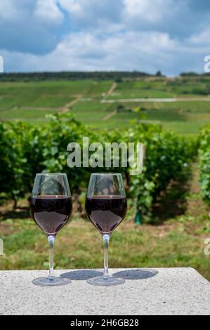 Tasting of burgundy red wine from grand cru pinot noir  vineyards, two glasses of wine and view on green vineyards in Burgundy Cote de Nuits wine regi Stock Photo