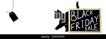 Black kitten moves out from behind a sign with a white chalk inscription Black Friday Sale towards the price tag. Banner, isolated on a white backgrou Stock Photo