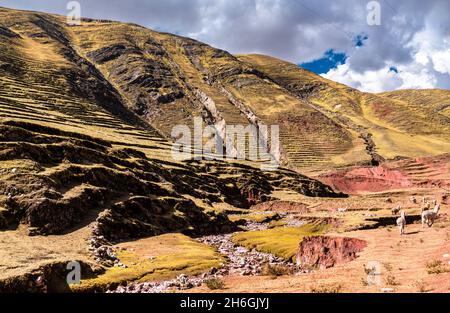 Terraced mountains at Palccoyo in Peru Stock Photo