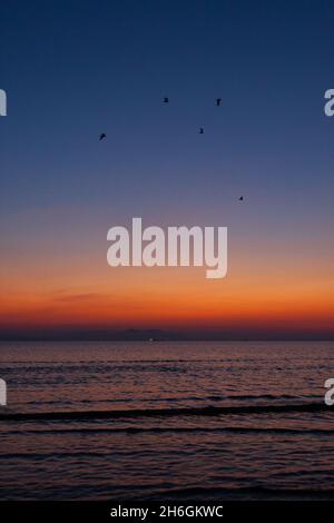 Beautiful abstract sunset at Ayr Beach during the Scottish summer with birds flying across the sea / ocean Stock Photo