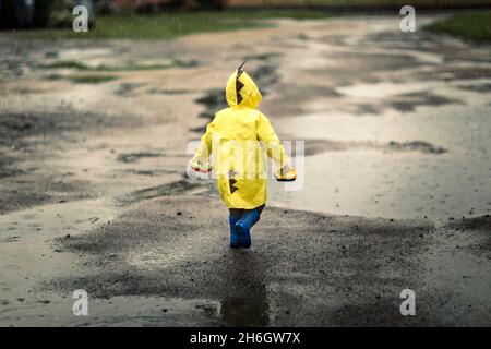 Toddler child in yellow raincoat and blue rain boots walking Stock Photo