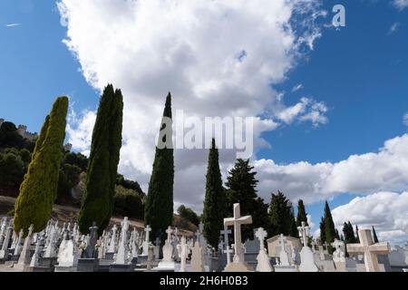 Cementerio de Peñafiel with typical Mediterranean cypress trees in Castile and León, Spain. Stock Photo