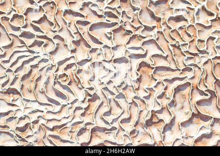 Textured background of abstract shape limestone deposits. Top view Stock Photo