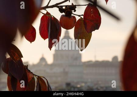 Rome, Italy. 15th Nov, 2021. View St. Peter's Dome from Pincio terrace in Rome (Photo by Matteo Nardone/Pacific Press) Credit: Pacific Press Media Production Corp./Alamy Live News Stock Photo