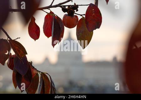 Rome, Italy. 15th Nov, 2021. View St. Peter's Dome from Pincio terrace in Rome (Photo by Matteo Nardone/Pacific Press) Credit: Pacific Press Media Production Corp./Alamy Live News Stock Photo