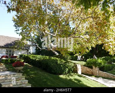 Beverly Hills, California, USA 17th September 2021 A general view of atmosphere of Mob Attorney Sydney Korshak's Former Home/house and Howard Hughes Plane Crash Wreckage Site at 808 N. Whittier Drive on September 17, 2021 in Beverly Hills, California, USA. Photo by Barry King/Alamy Stock Photo Stock Photo