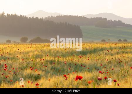 Summer rural landscape of Turiec region, Slovakia. Stock Photo