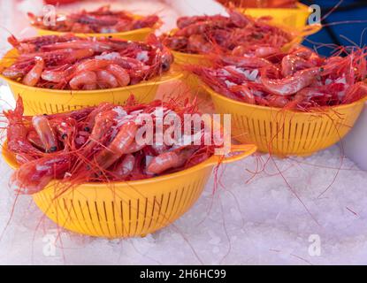 A pile of shrimps for sale at a fish counter. Fresh prawn sale in a fish market. Shrimps in plastic baskets and ice Stock Photo