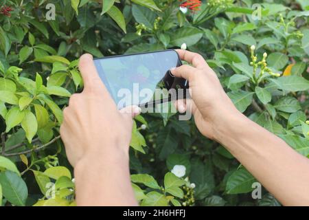 holding mobile for clicking picture in garden Stock Photo