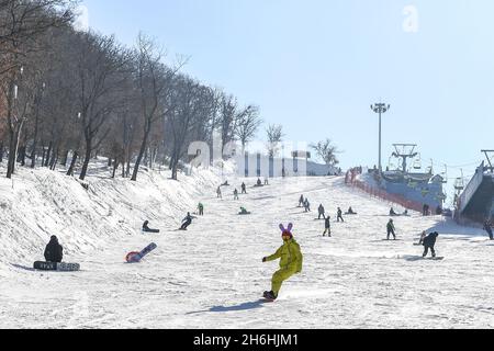 (211116) -- CHANGCHUN, Nov. 16, 2021 (Xinhua) -- Skiers enjoy the sport at Miaoxiangshan Ski Resort in Changchun, northeast China's Jilin Province, Nov. 15, 2021. Following the recent snowfall and drop in temperature, a new ski season has kicked off in northeast China's Jilin Province. Jilin, with rich ice and snow resources, has long been one of the most popular skiing destinations in the country. Due to the rising skiing boom around the country in recent years, the ski resorts in Jilin have seized the opportunity to improve the infrastructures and services. As the 2022 Beijing Winter Olympic Stock Photo