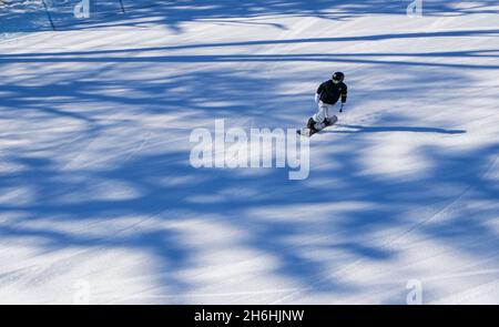 (211116) -- FUSONG, Nov. 16, 2021 (Xinhua) -- A skier enjoys the sport at Changbaishan Ski Resort in northeast China's Jilin Province, Nov. 15, 2021. Following the recent snowfall and drop in temperature, a new ski season has kicked off in northeast China's Jilin Province. Jilin, with rich ice and snow resources, has long been one of the most popular skiing destinations in the country. Due to the rising skiing boom around the country in recent years, the ski resorts in Jilin have seized the opportunity to improve the infrastructures and services. As the 2022 Beijing Winter Olympics approaches, Stock Photo